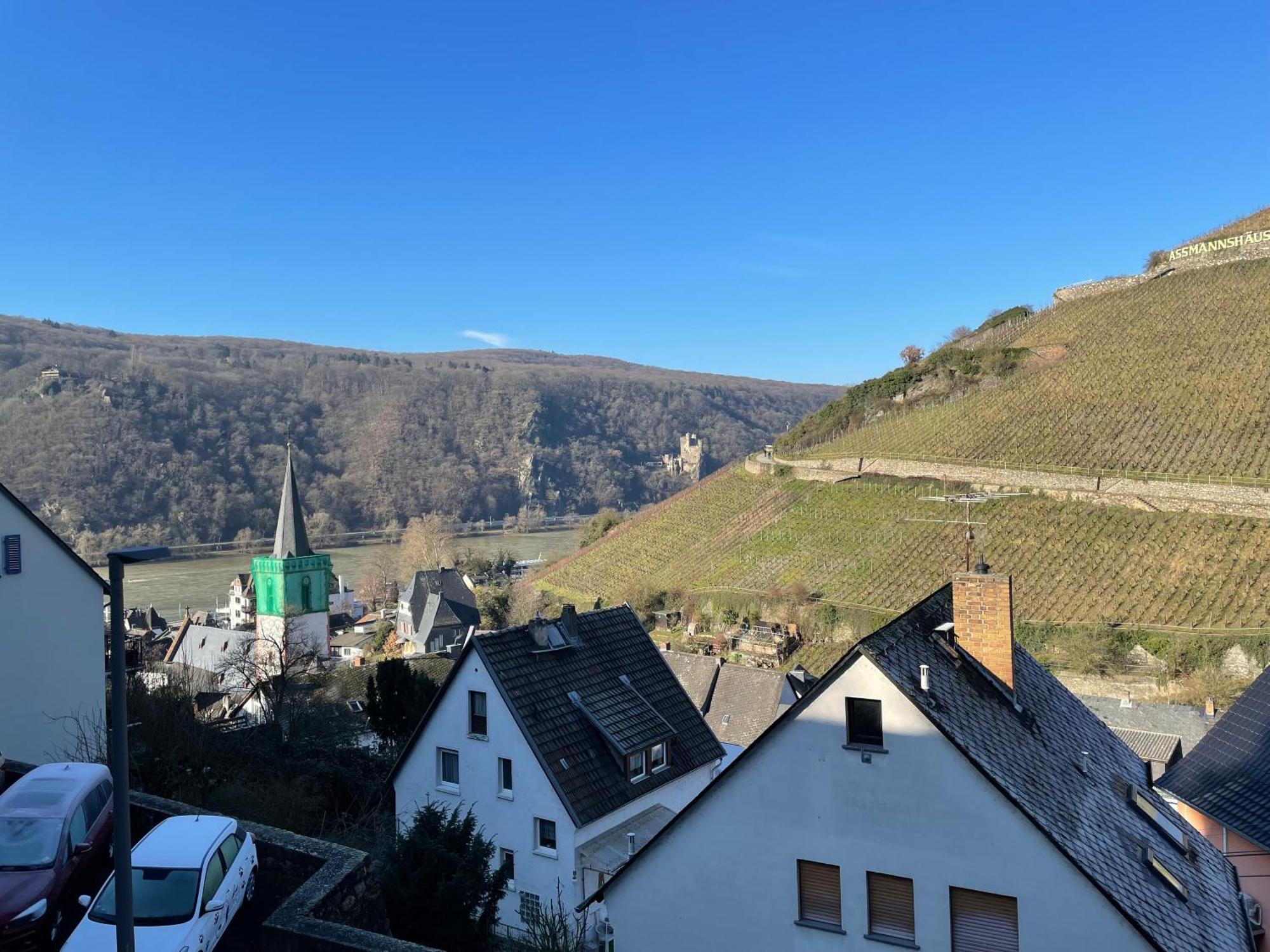 Appartement Haus Am Weinberg à Rüdesheim am Rhein Extérieur photo